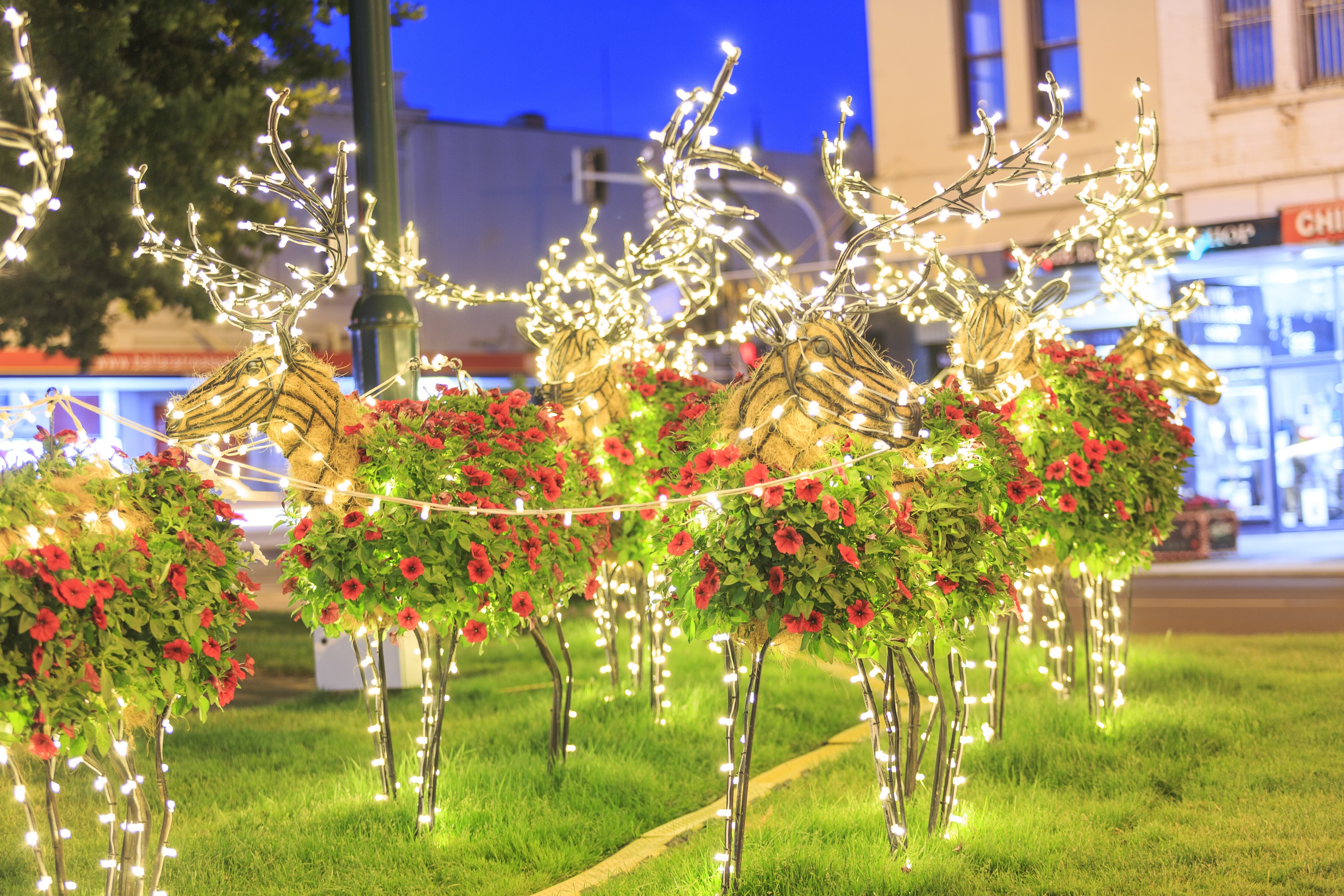 Christmas reindeer decorations