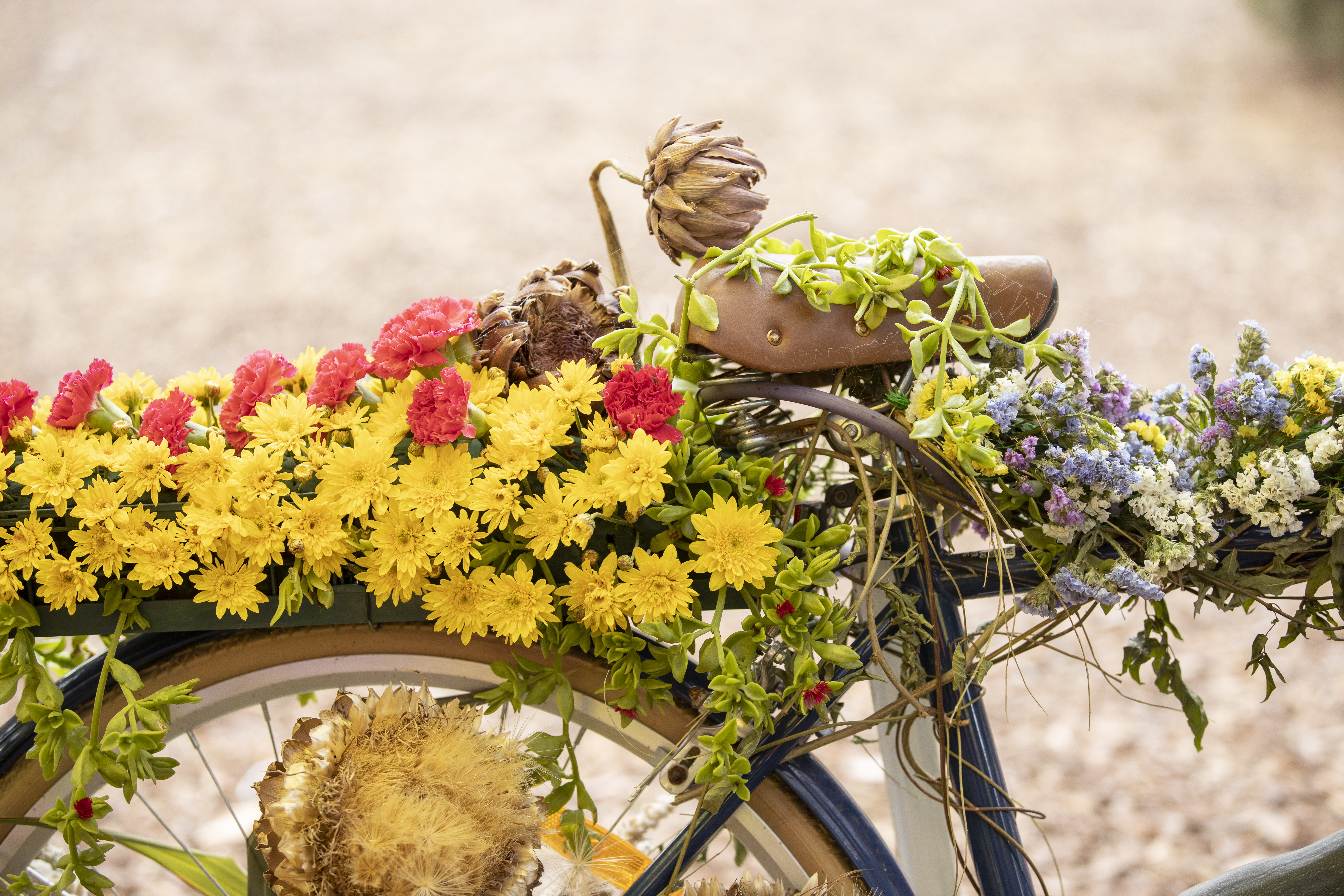 Begonia Festival