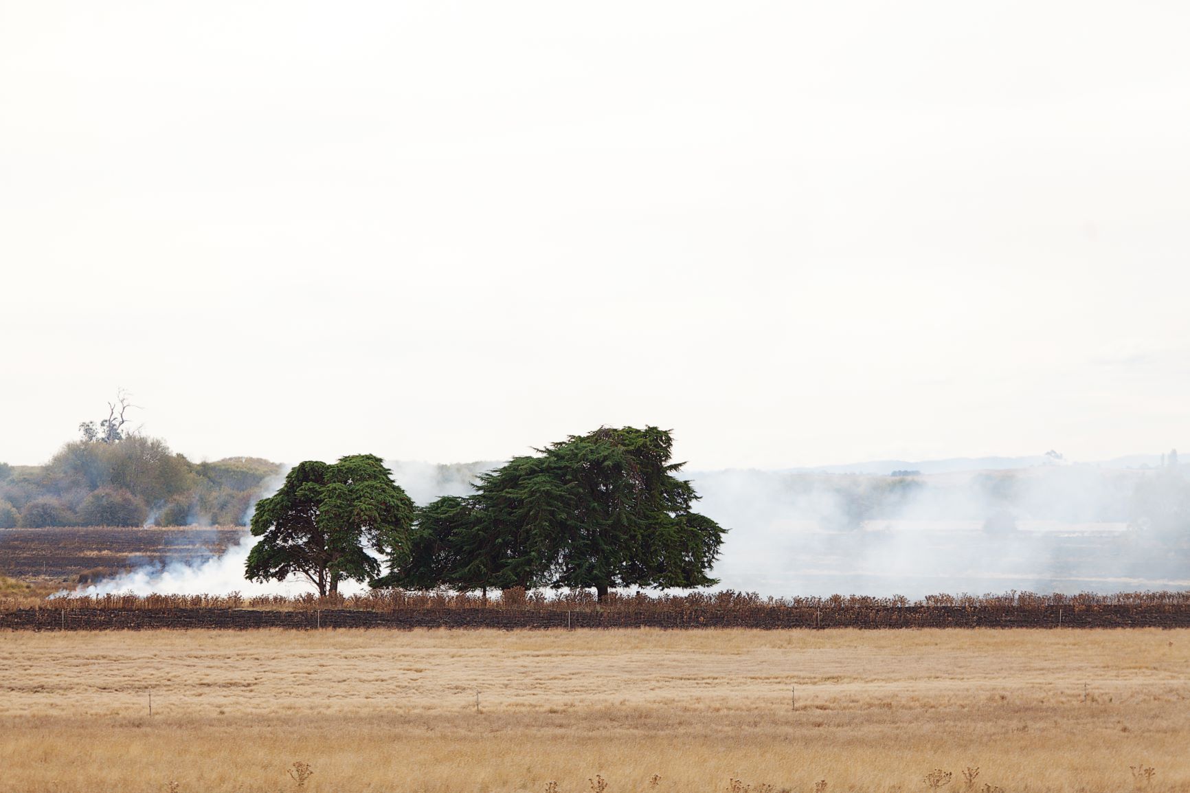 Image of a controlled burn