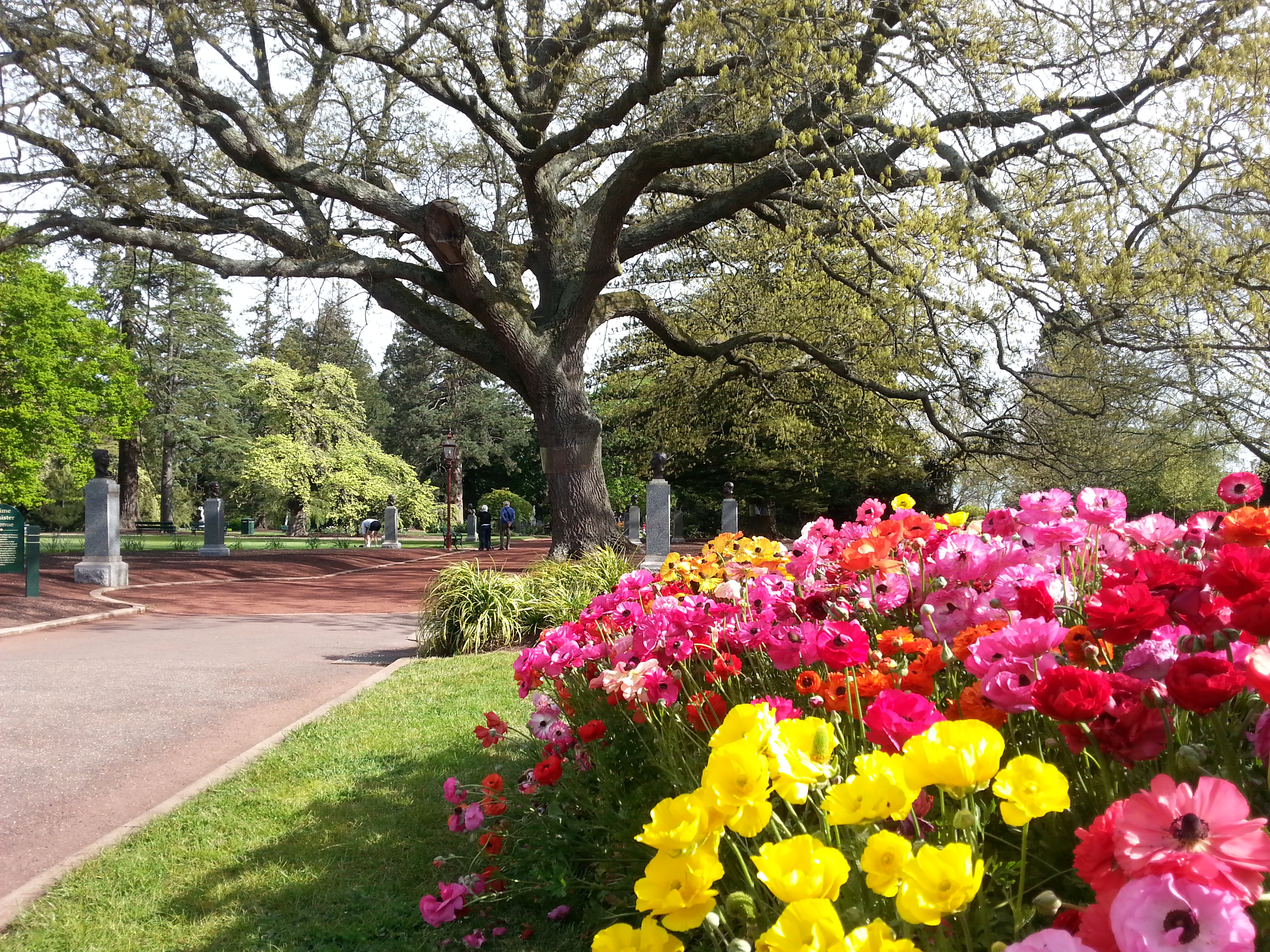 Ballarat Botanical Gardens