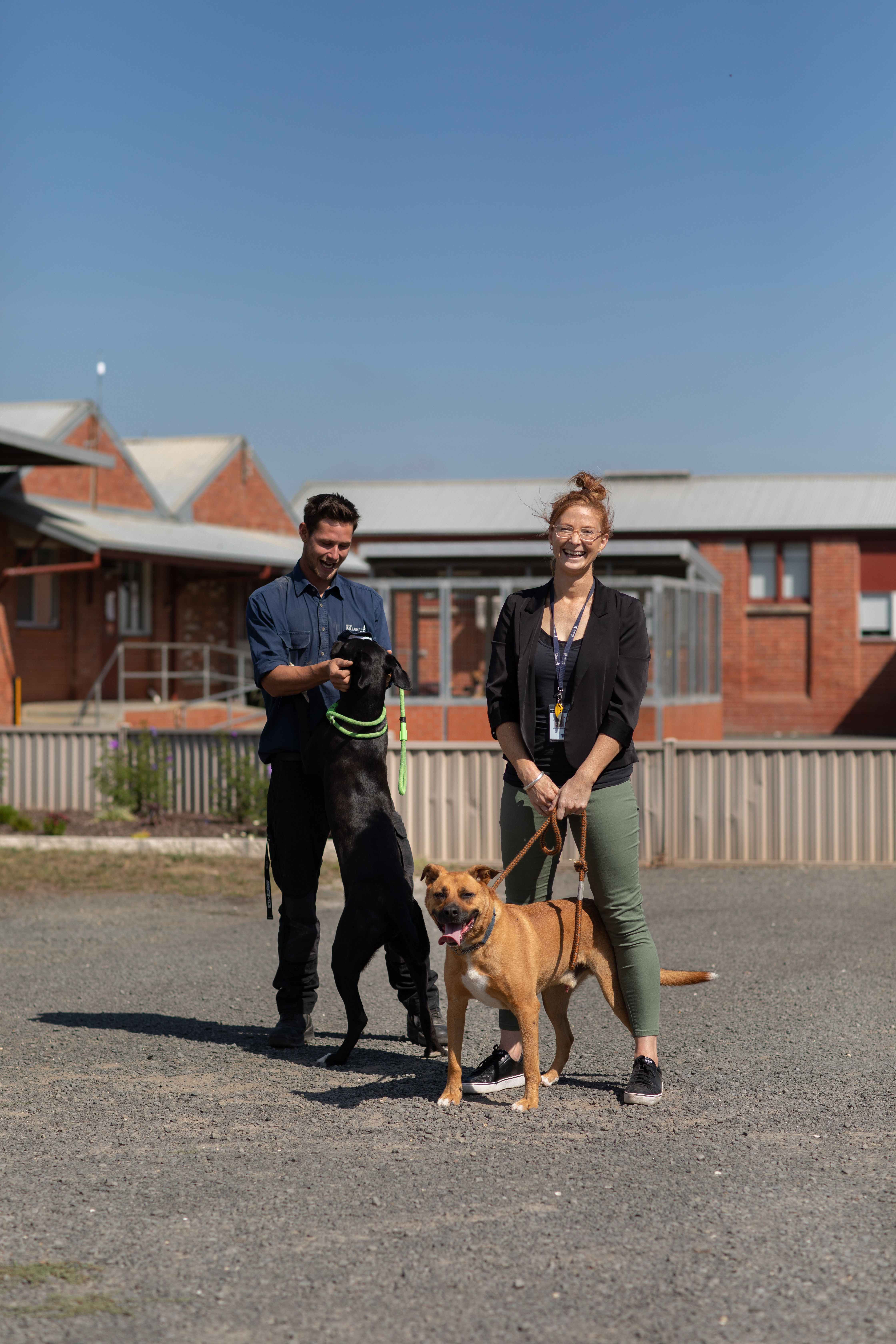 Ballarat Animal Shelter