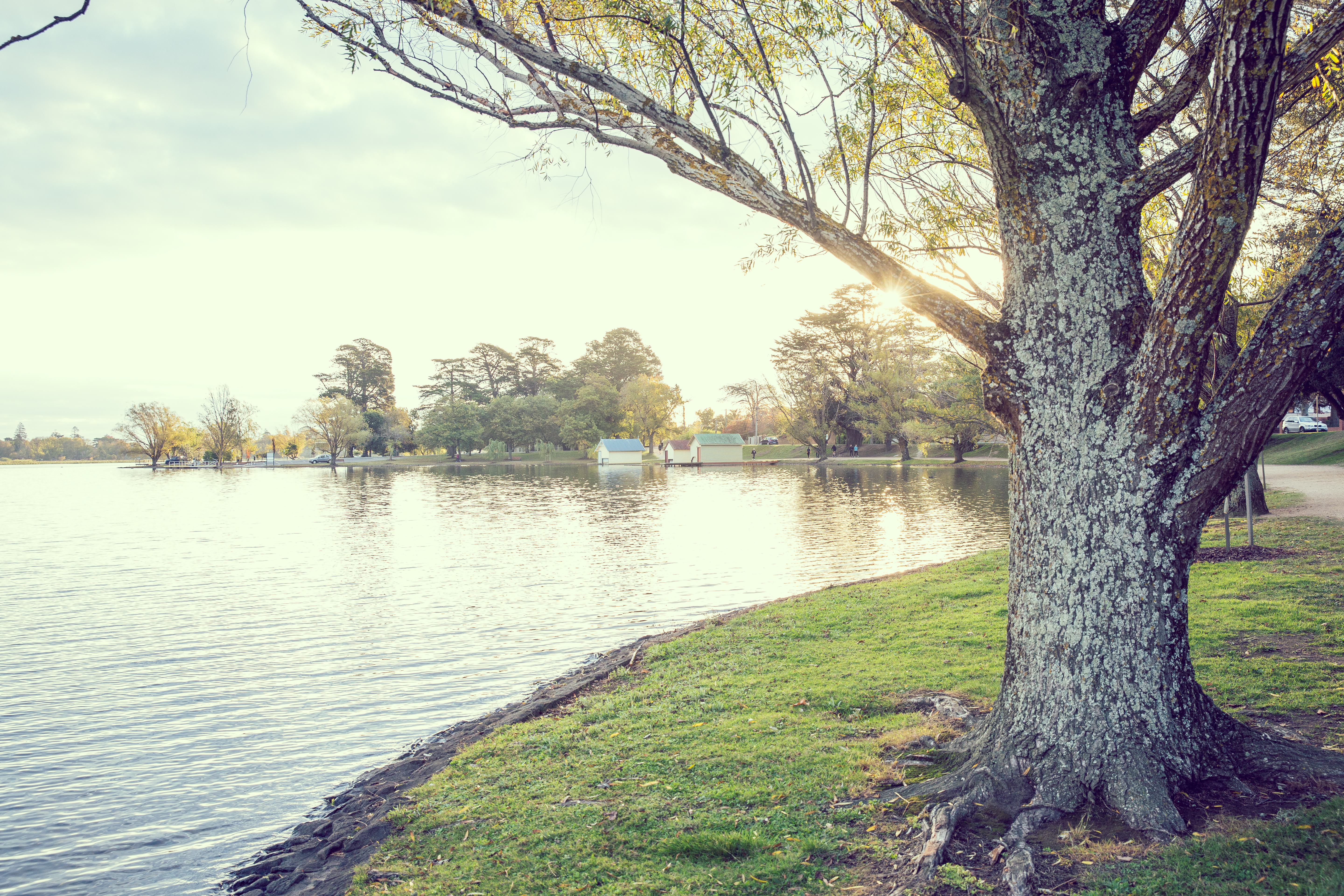 Generic photo Lake Wendouree foreshore