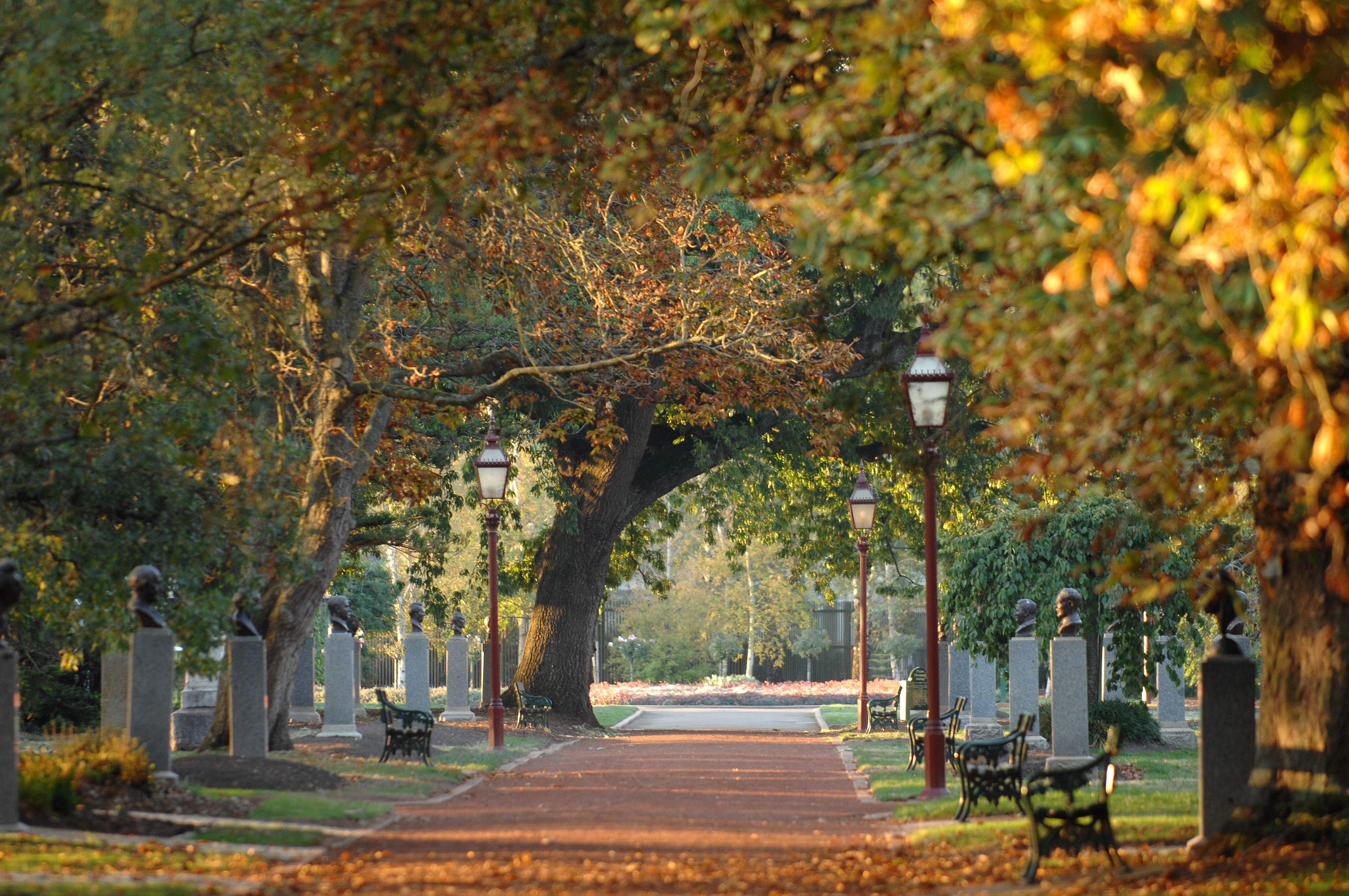 The Prime Ministers Avenue in Ballarat.