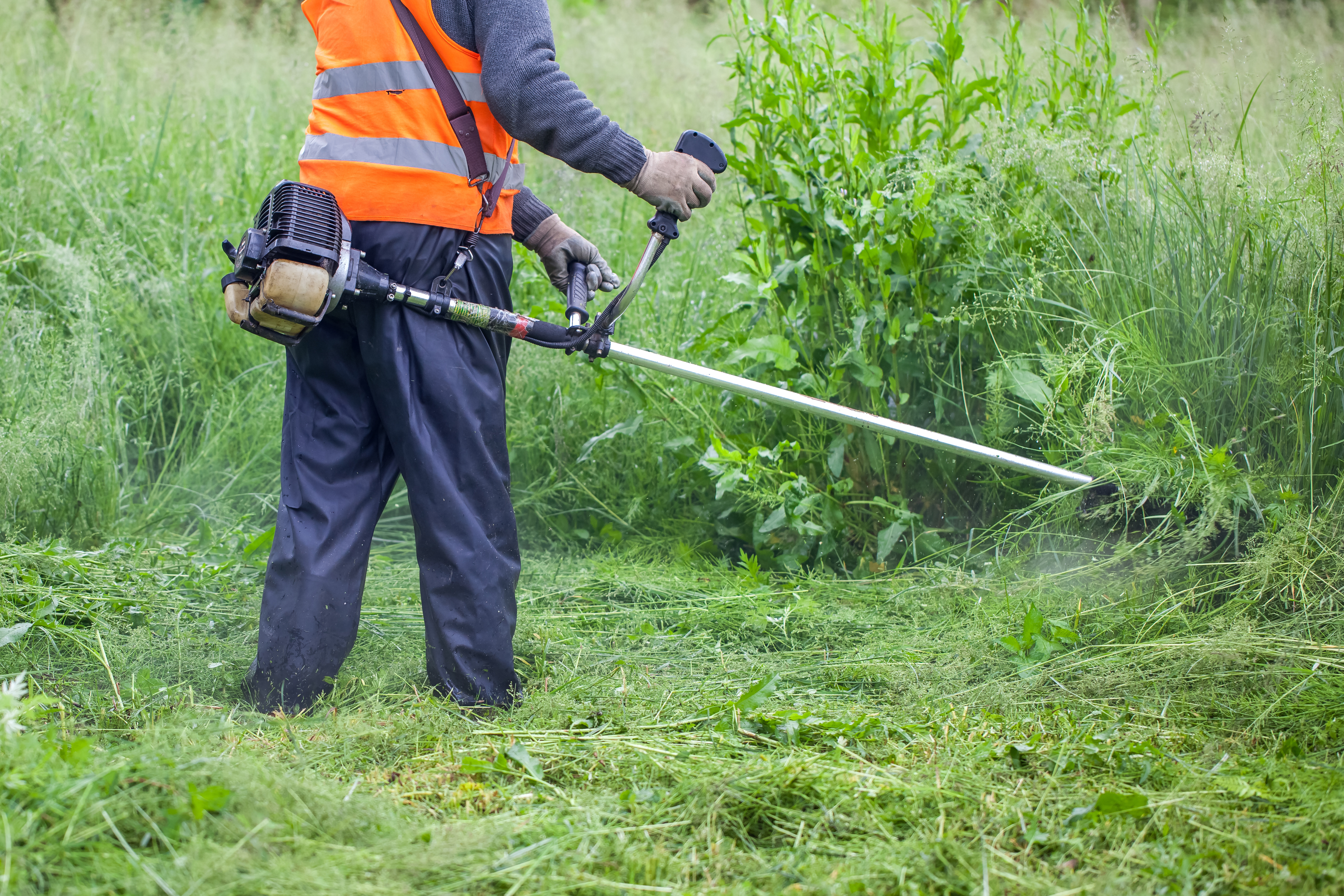 A person in an orange high-visibility vest and blue trousers whipper snips some long grass and weeds.