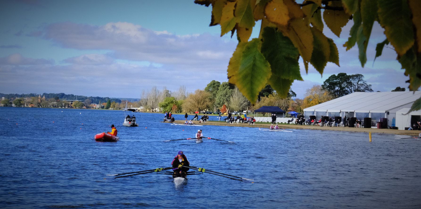 A number of row boats on Lake Wendouree, as well as a small motor boat. In the foreground, there is some green foliage.  