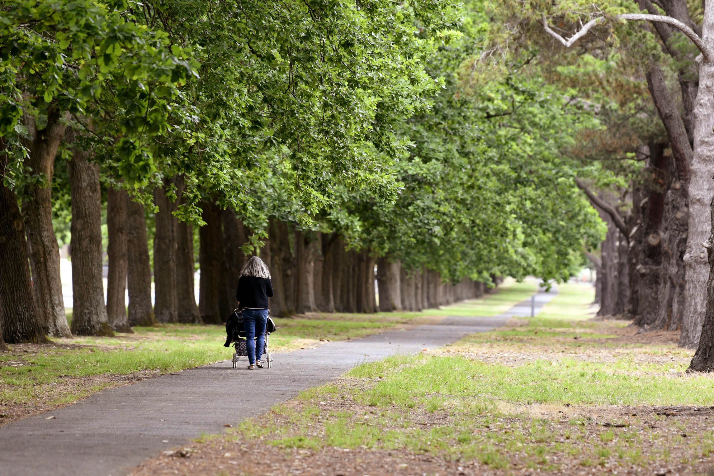 Generic image of bike riders in Victoria Park