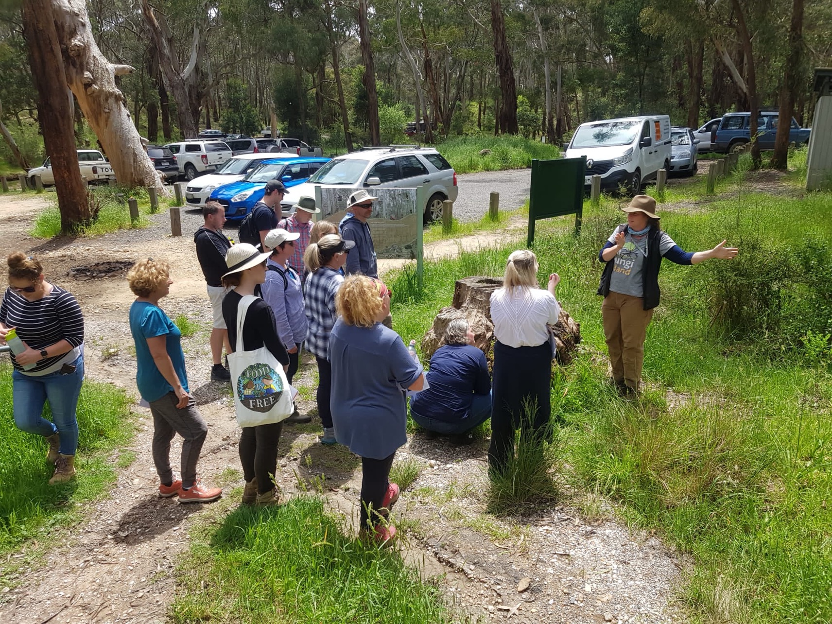 Nature Stewards' participants in the bush