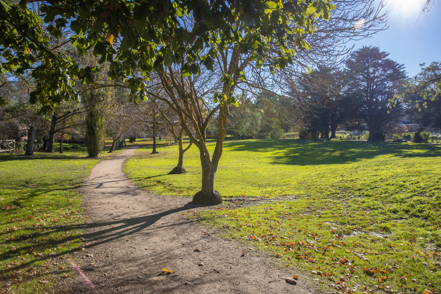 Generic image of De Soza Park Buninyong