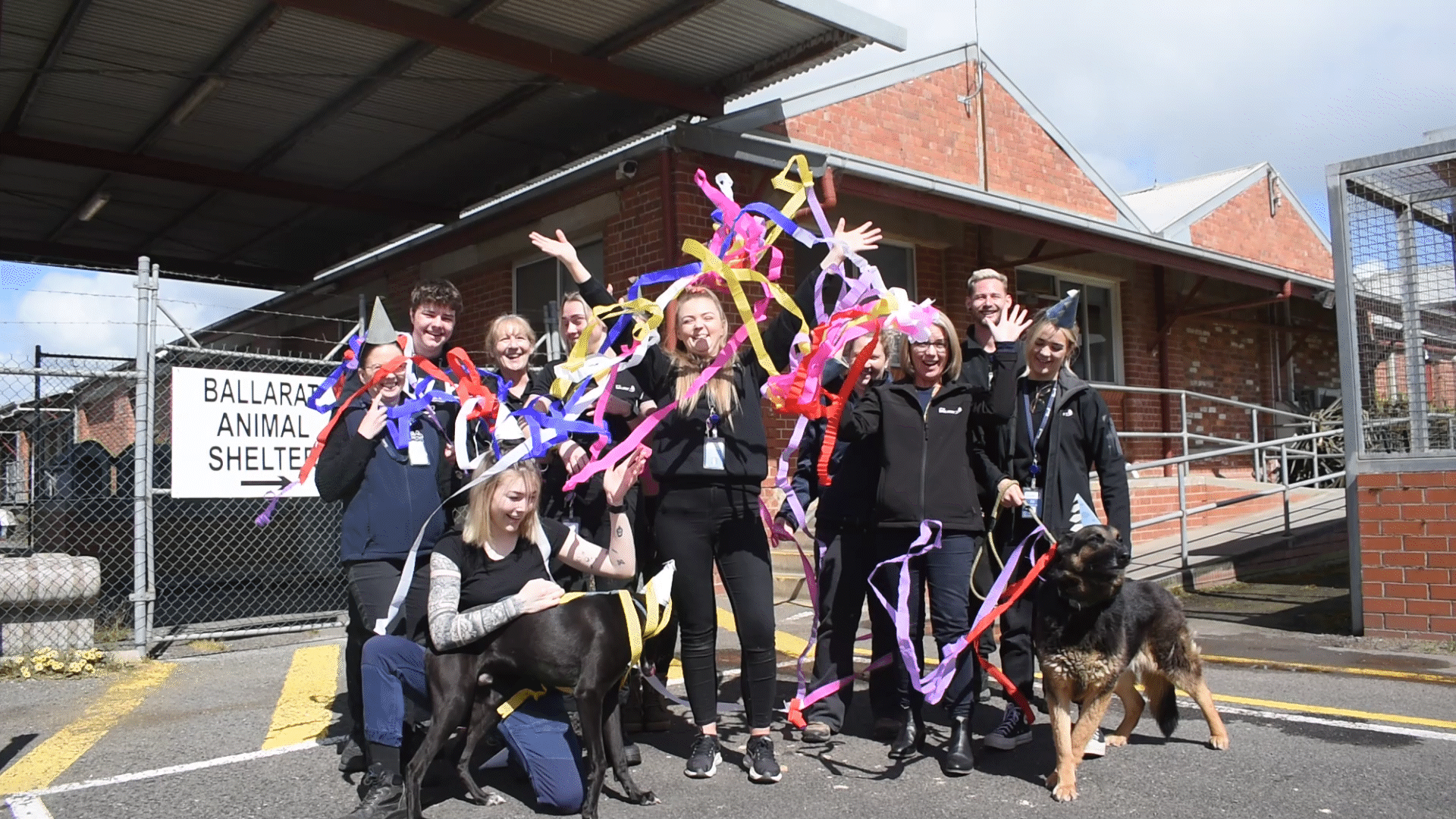 Generic image of the Animal Shelter team celebrating