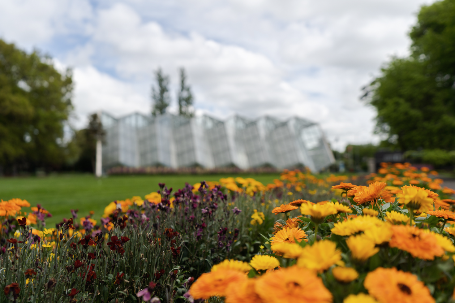 Generic image of Ballarat Botanical Gardens