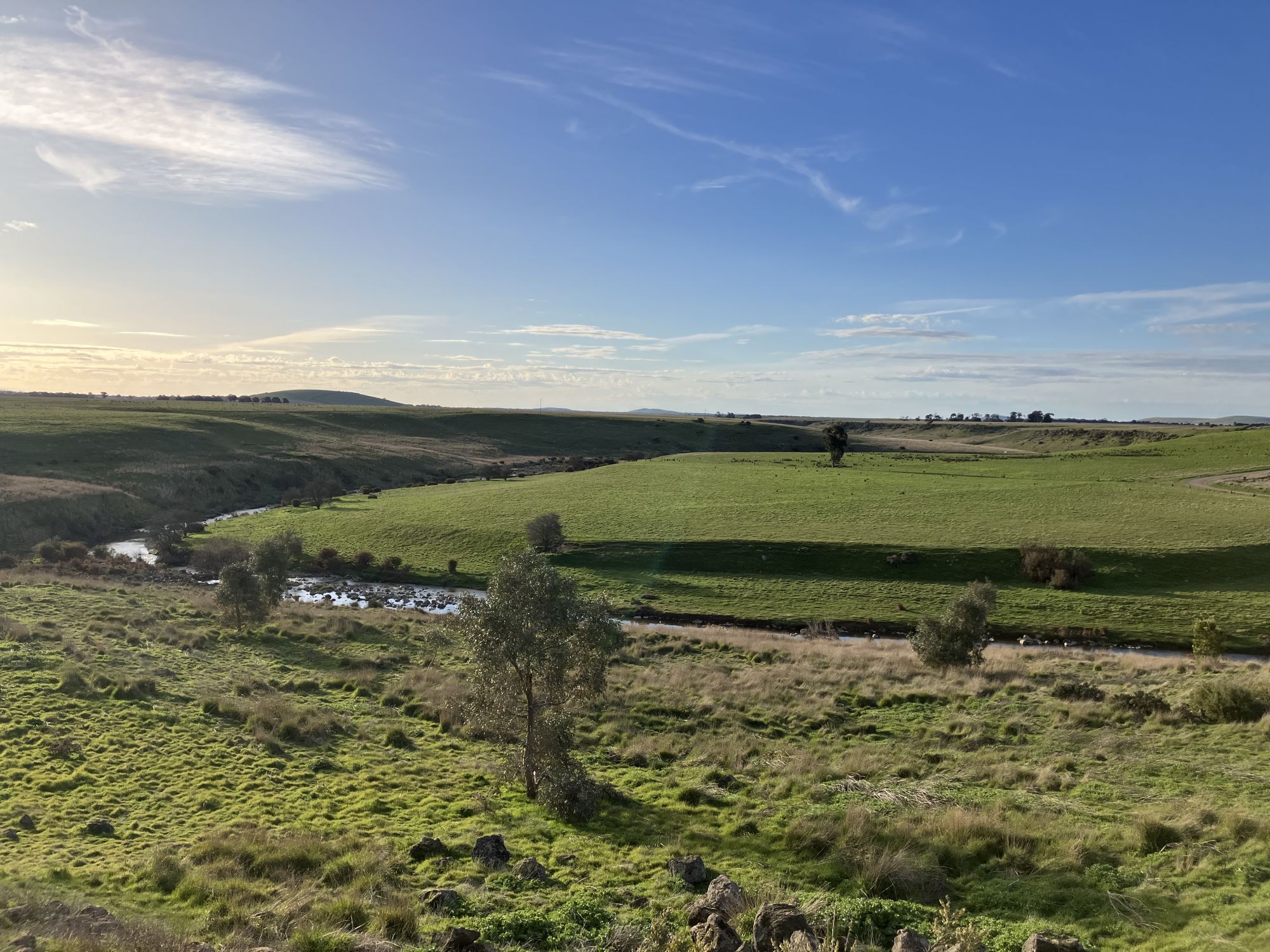 Biodiversity in the local countryside