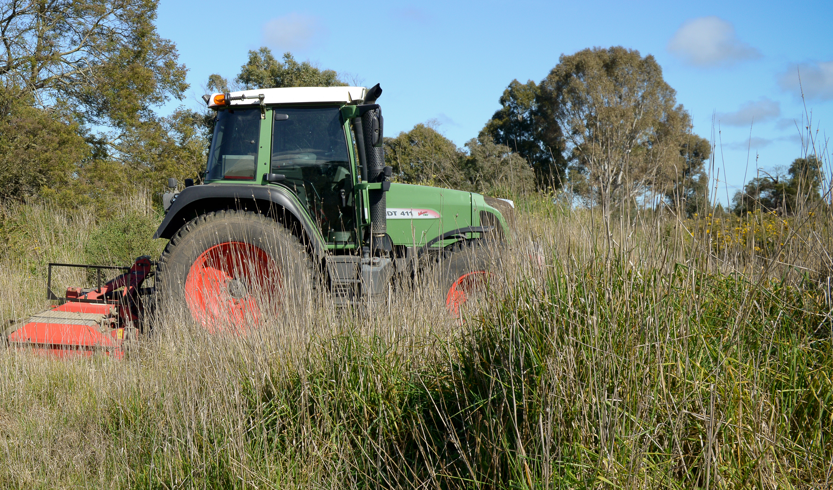 Grass slashing on City of Ballarat land.