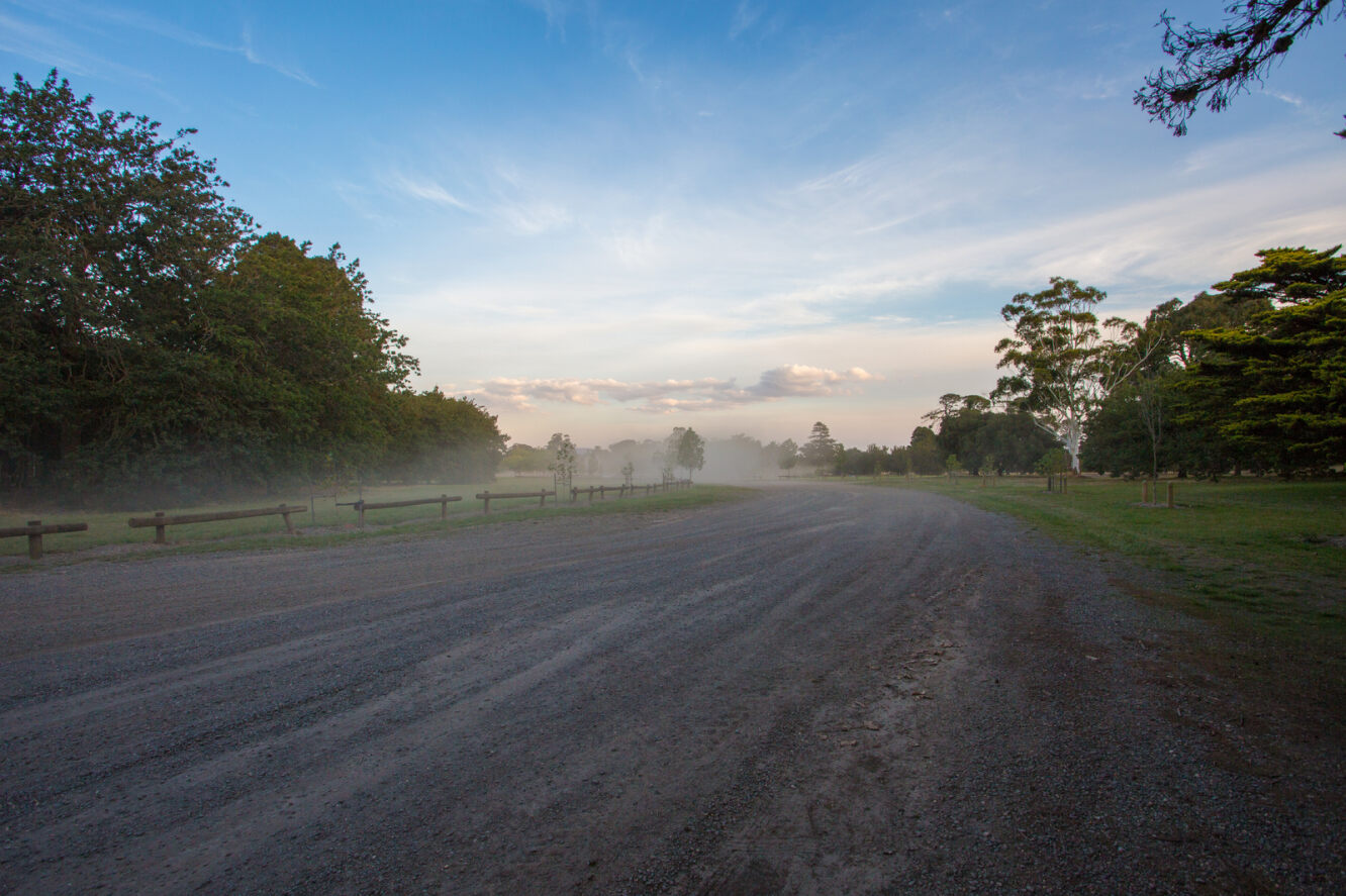 Photo of treelined road at Victoria Park