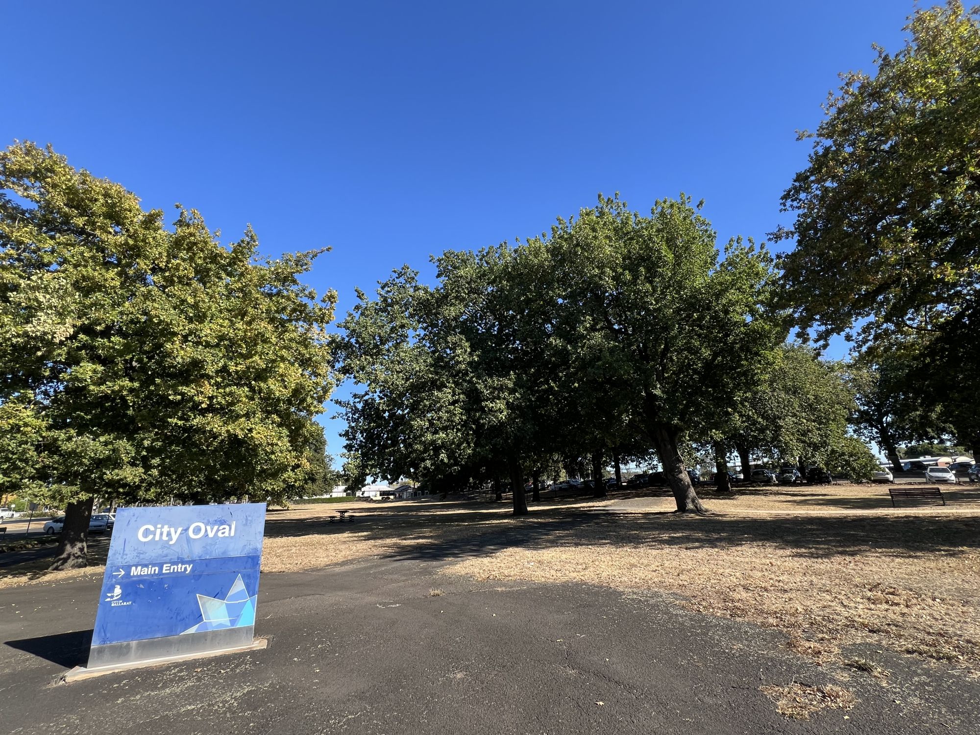 The site of the future Intercultural Garden.