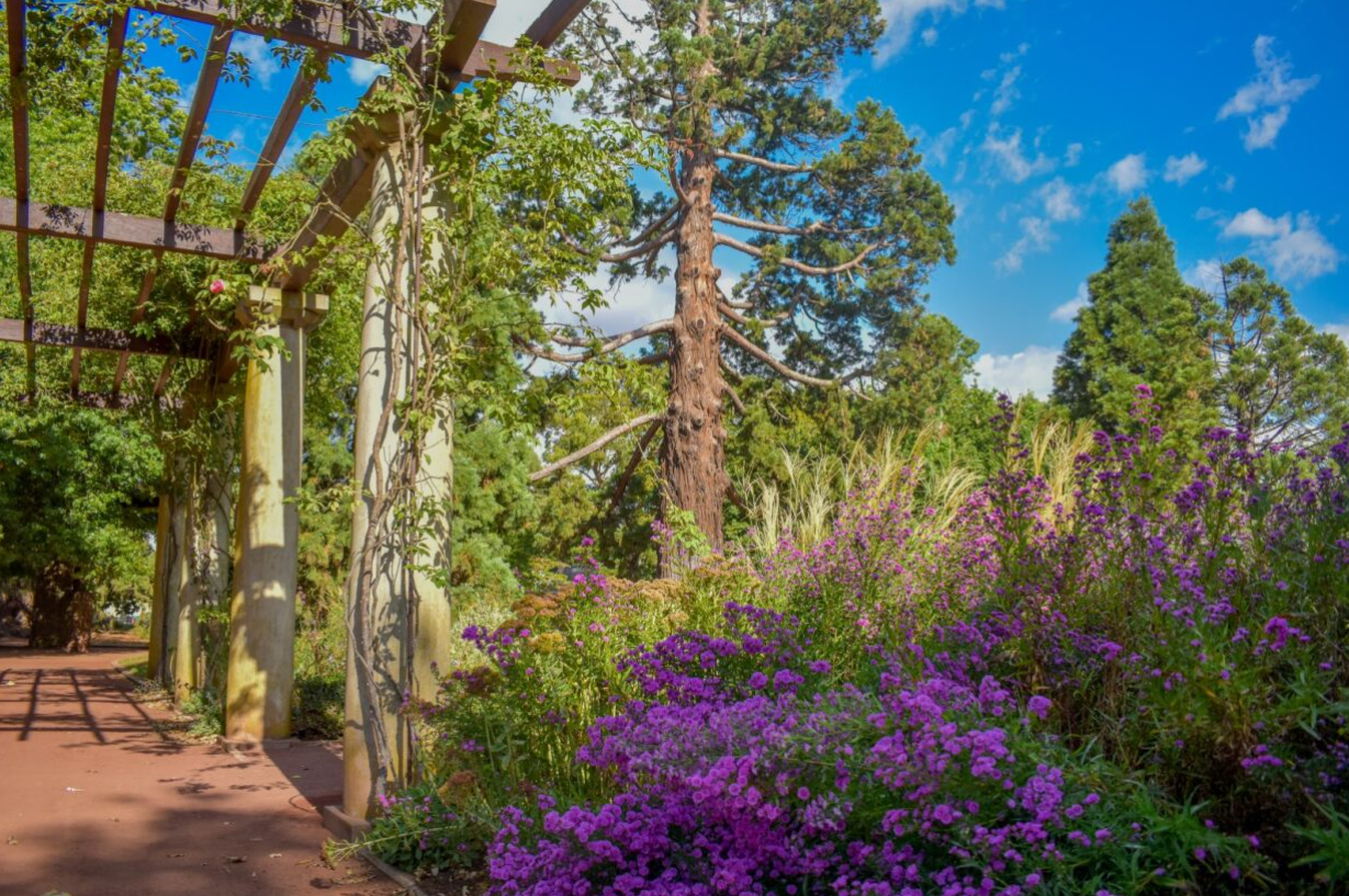 Ballarat Botanical Gardens