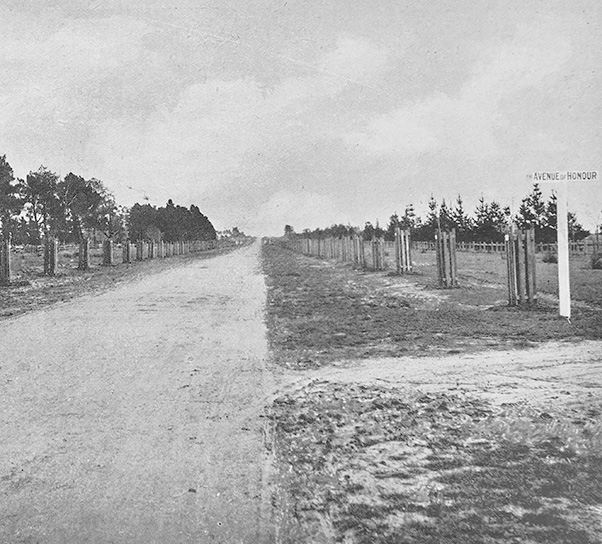 Planting of the first trees in the Avenue of Honour