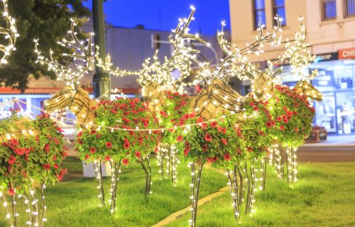 Christmas reindeer decorations