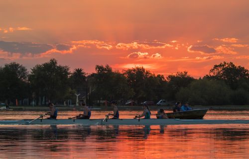 rowing