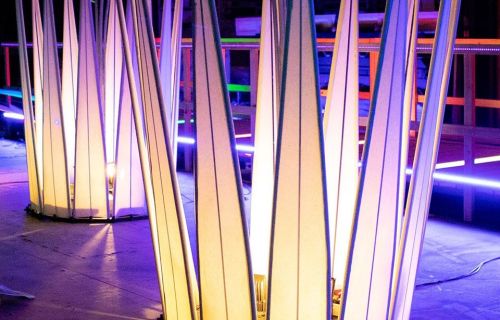 illuminated garden