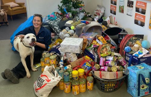 Animal shelter worker with dog and donations of food and pet toys