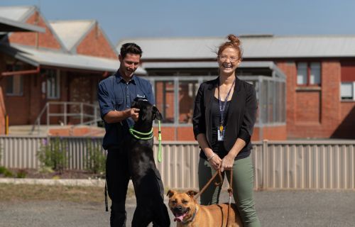 Ballarat Animal Shelter