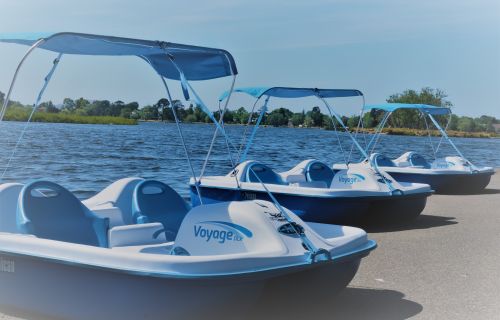 The paddle boats are back!