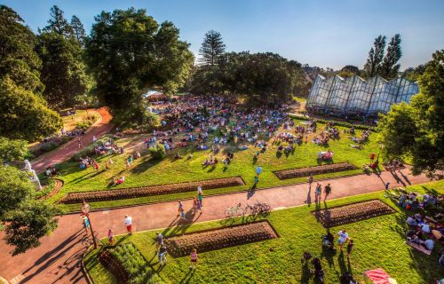 Summer Sundays free concert series begins Sunday