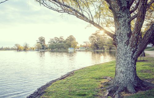 Generic photo Lake Wendouree foreshore