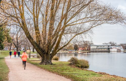 Generic photo, Lake Wendouree foreshore