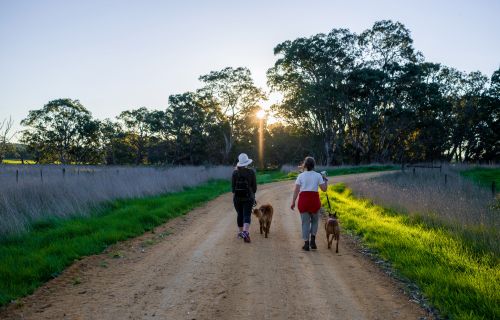 Two active women walking on a country road