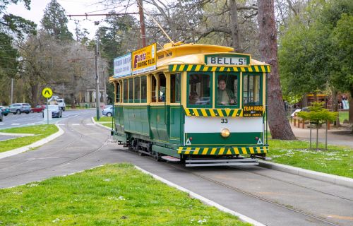 Green and yellow tram on the tracks near Lake Wendouree