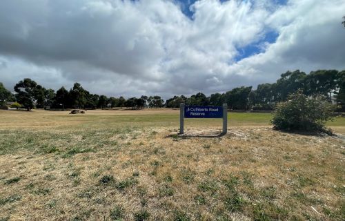 Generic image of open space, Cuthberts Road Reserve