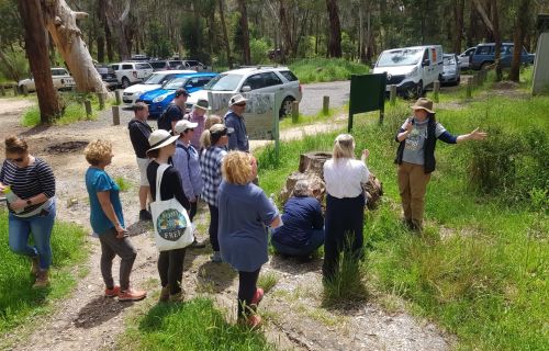 Nature Stewards' participants in the bush