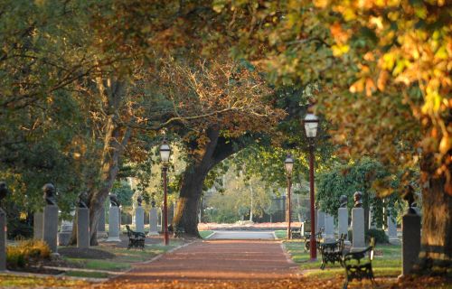 Prime Minister's Avenue in the Ballarat Botanical Gardens.