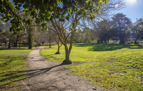 Generic image of De Soza Park Buninyong