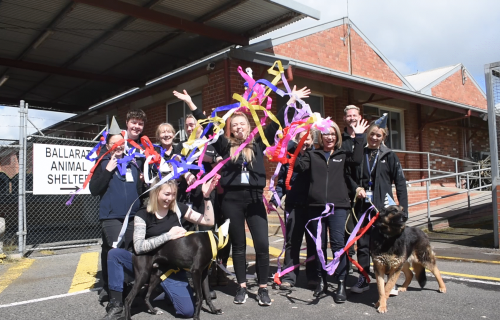 Generic image of the Animal Shelter team celebrating