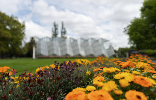 Generic image of Ballarat Botanical Gardens