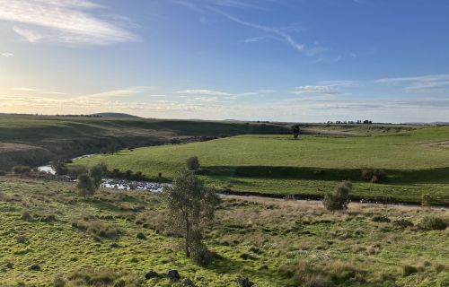 Biodiversity in the local countryside