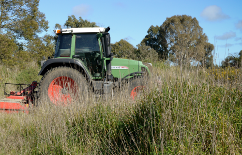 Grass slashing on City of Ballarat land.