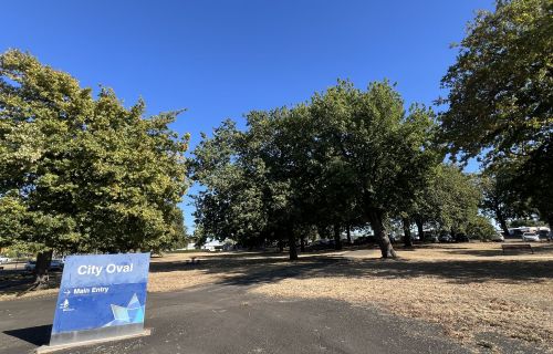 The site of the future Intercultural Garden.