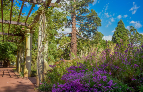 Ballarat Botanical Gardens