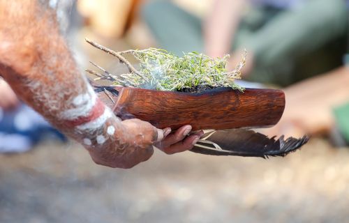 Human hands hold wooden dish with Australian plant branches, the smoke ritual rite at a indigenous community event in Australia