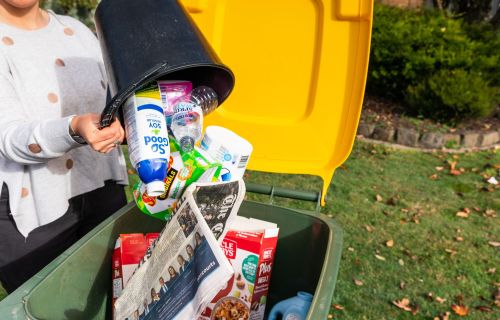 Photo of recyclable products being thrown into the bin