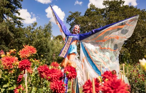 Photo taken at Begonia Festival, with blue skies, flowers and a lady on stilts dressed as a butterfly