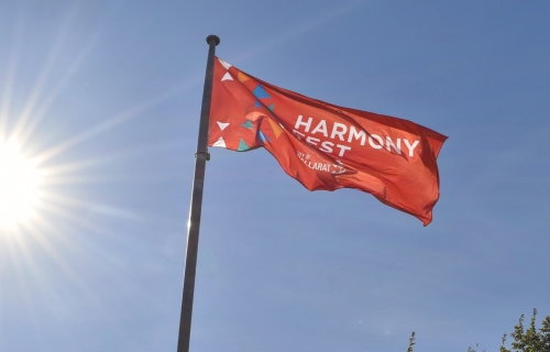 harmony festival Flag flying in a sunny blue sky