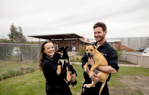 Photo of two staff members standing outside the Animal Shelter holding a puppy each and smiling