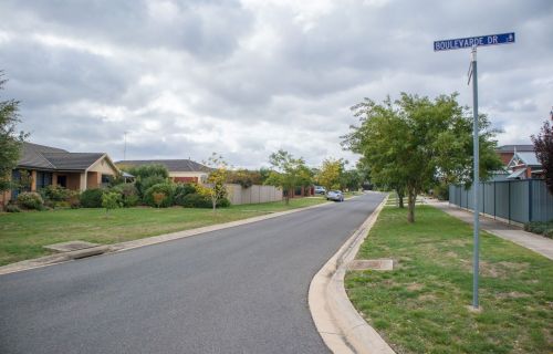 Suburban nature strip