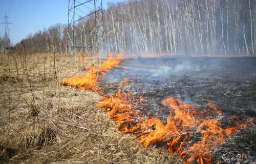 Burning dry grass