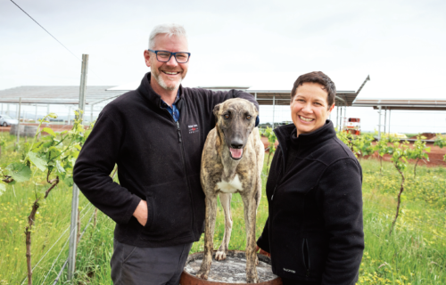 Michael Unwin and his wife Catherine with their dog Poppy at the site of the new Unwin Winery cellar door and  vineyard at Cardigan.