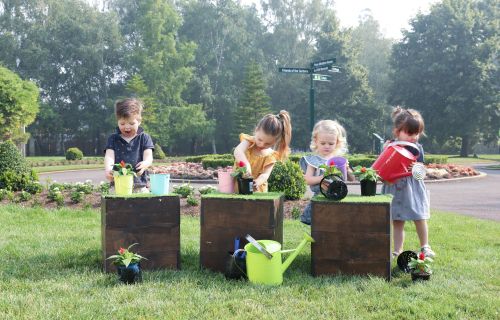 From little things: Charlie Joyce, Maisie and Drew Commons and Anneka Whitear get planting with BotaniKids ahead of this year's Ballarat Begonia Festival.